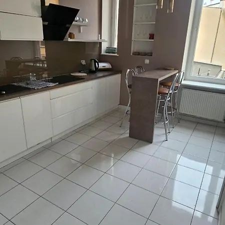 Wilda, Centrum, Duzy Z Garazem Apartment Poznan