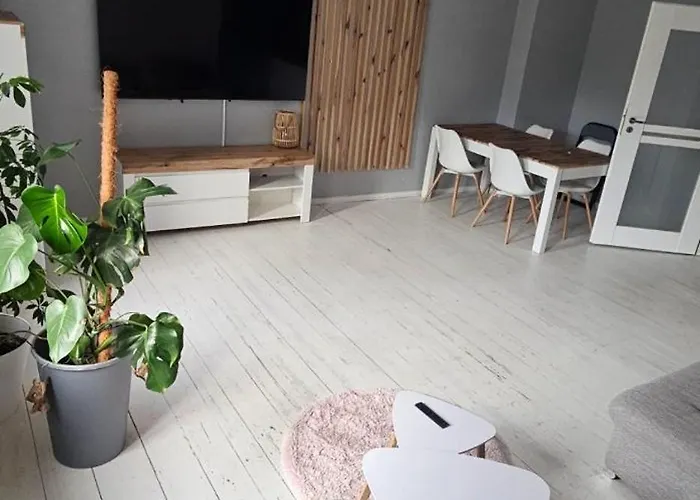 Apartment Wilda, Centrum, Duzy Z Garazem *