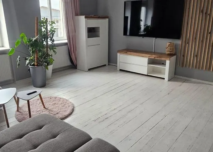 Wilda, Centrum, Duzy Z Garazem Poznań