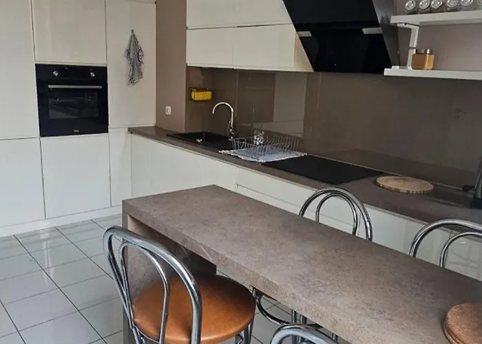 Wilda, Centrum, Duzy Z Garazem Apartment