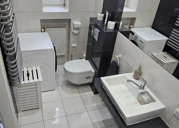 Wilda, Centrum, Duzy Z Garazem * Poznań