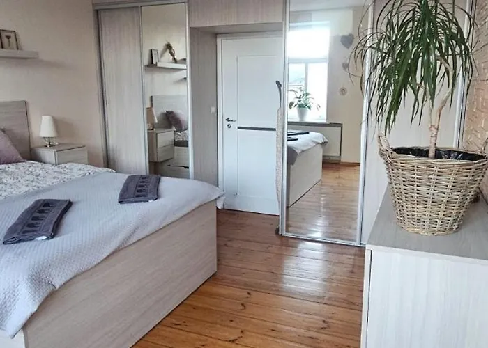 Wilda, Centrum, Duzy Z Garazem Apartment