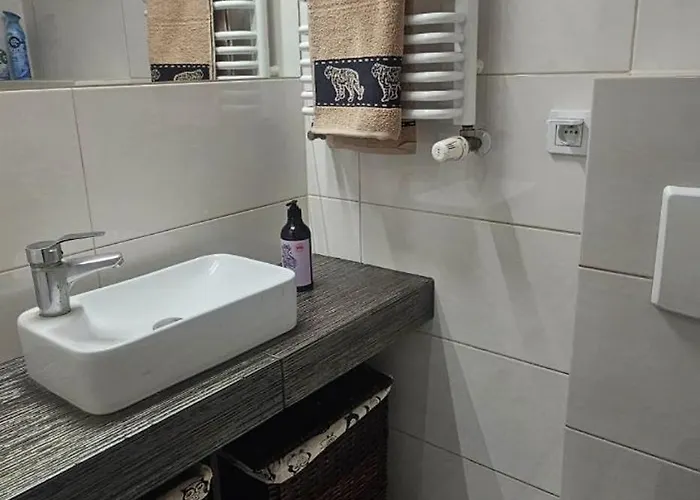 Wilda, Centrum, Duzy Z Garazem Apartment *